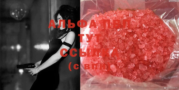 стафф Алексин