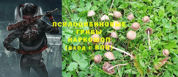кокс Алзамай
