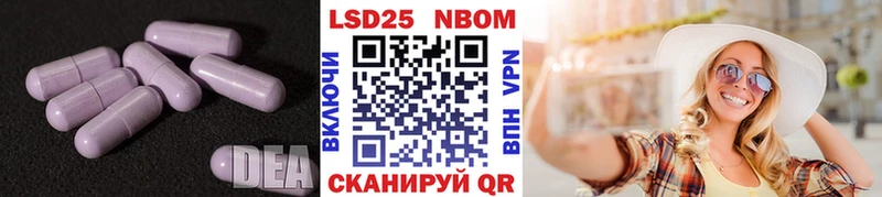 кракен   магазин    Элиста  ЛСД экстази кислота 