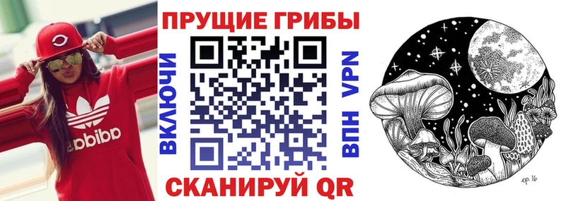 Галлюциногенные грибы Cubensis  Элиста 