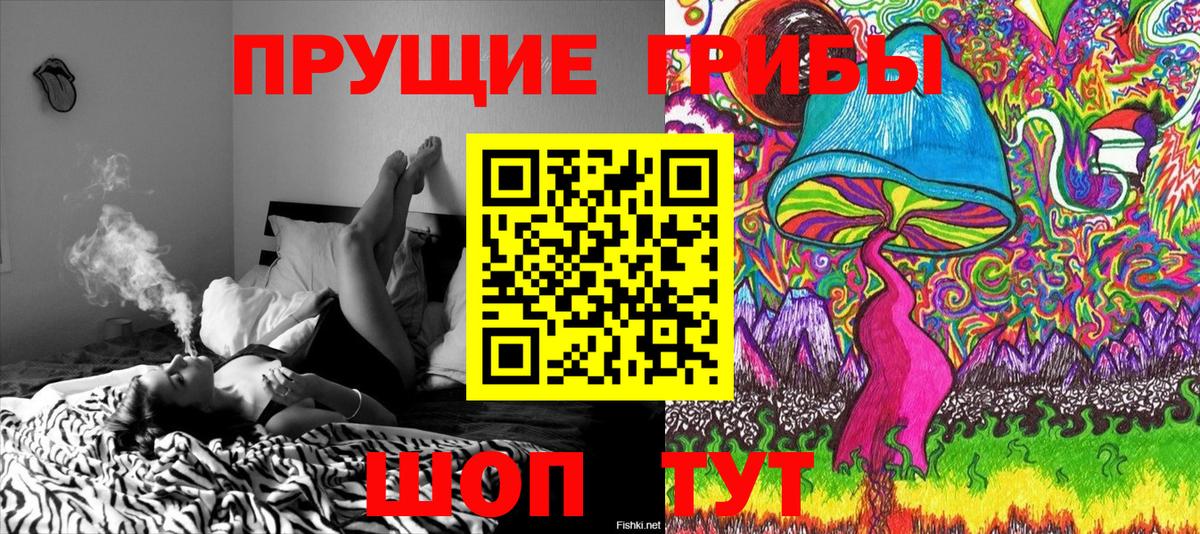 Элиста  Псилоцибиновые грибы ЛСД  Вход с VPN 